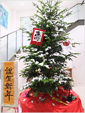お正月の飾り付け