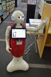 Pepperの写真