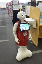 Pepperの写真