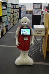 Pepperの写真