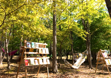 高野「めざめ」の森づくり実行委員会 森林セラピー「森林（もり）カフェライブラリー」に参加しました！＠高石市立図書館