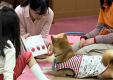 「セラピードッグに読み聞かせ」イベントを開催しました＠高石市立図書館